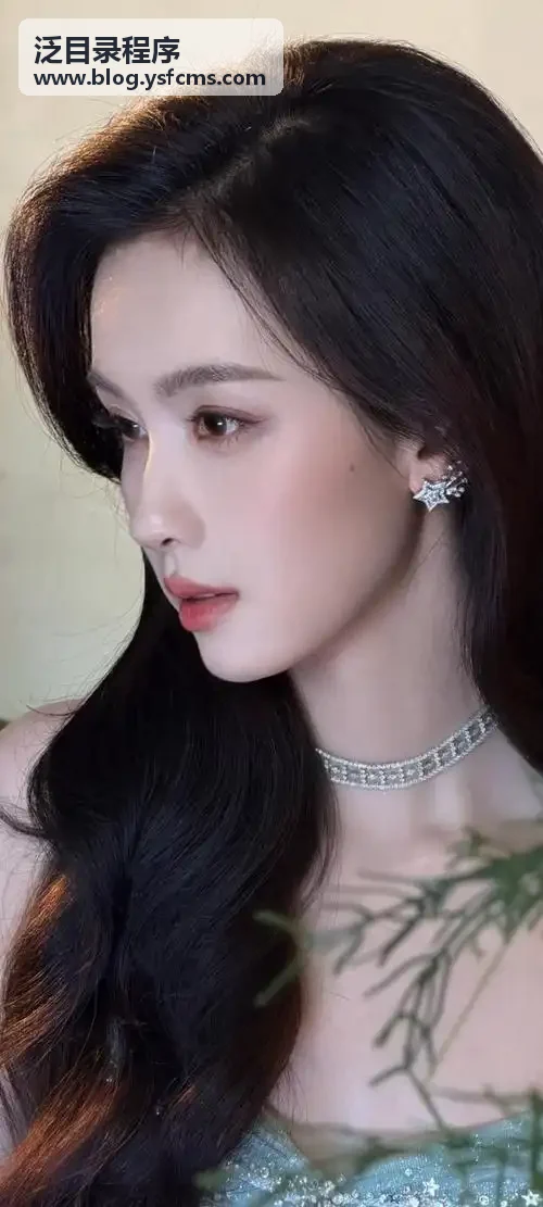 泛目录程序目录管理界面背景