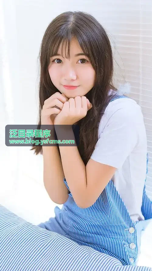 泛目录程序文章内容封面